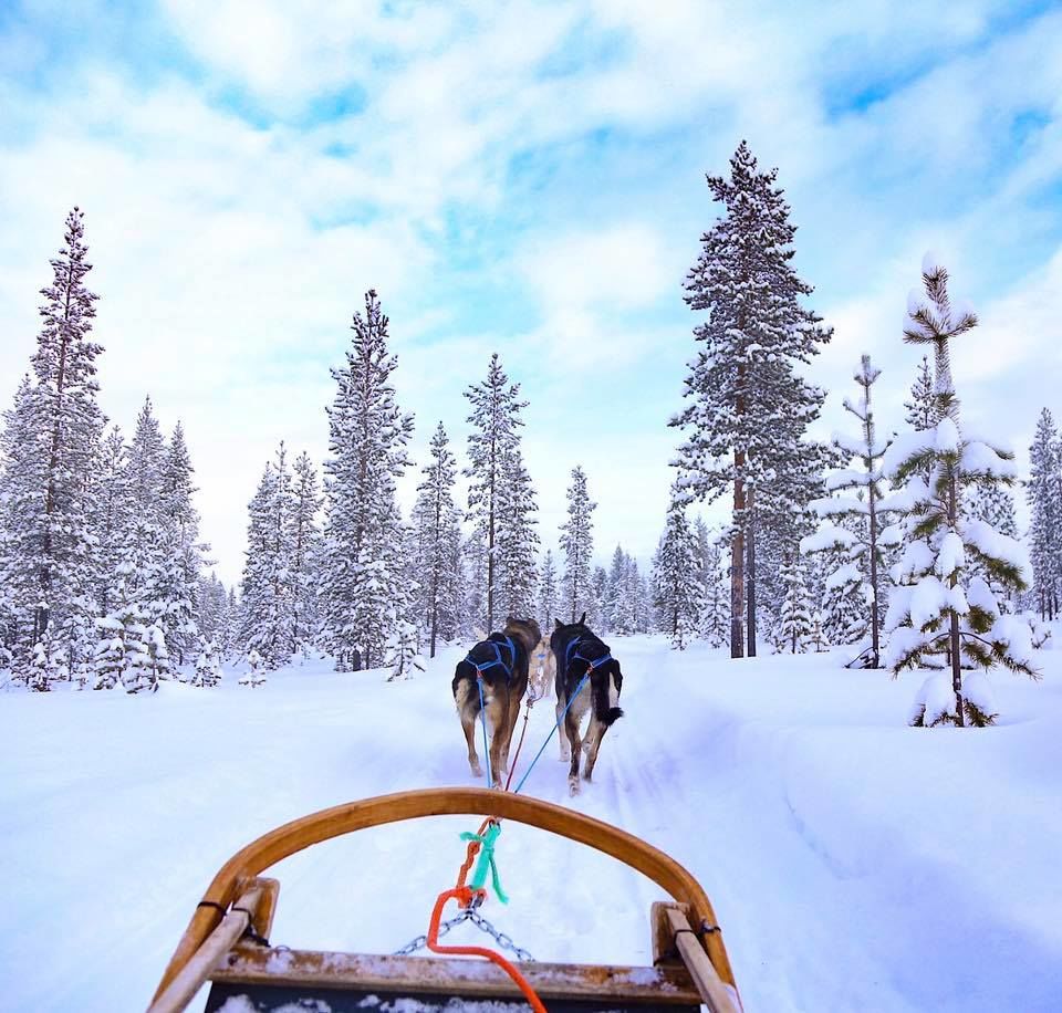 Photo of Saariselkä, Finland by Deepa Subramanian