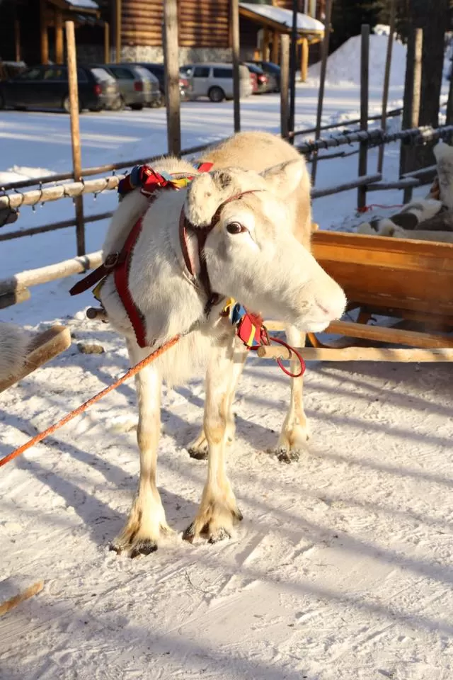 Photo of Santa Claus Village, Rovaniemi, Finland by Deepa Subramanian
