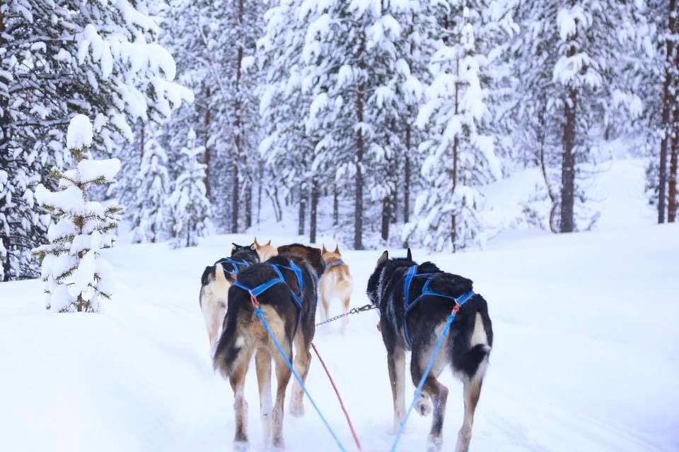 Photo of Saariselkä, Finland by Deepa Subramanian