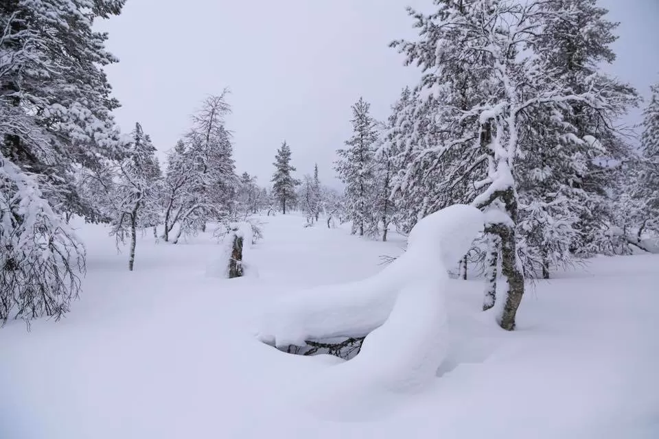 Photo of Saariselkä, Finland by Deepa Subramanian
