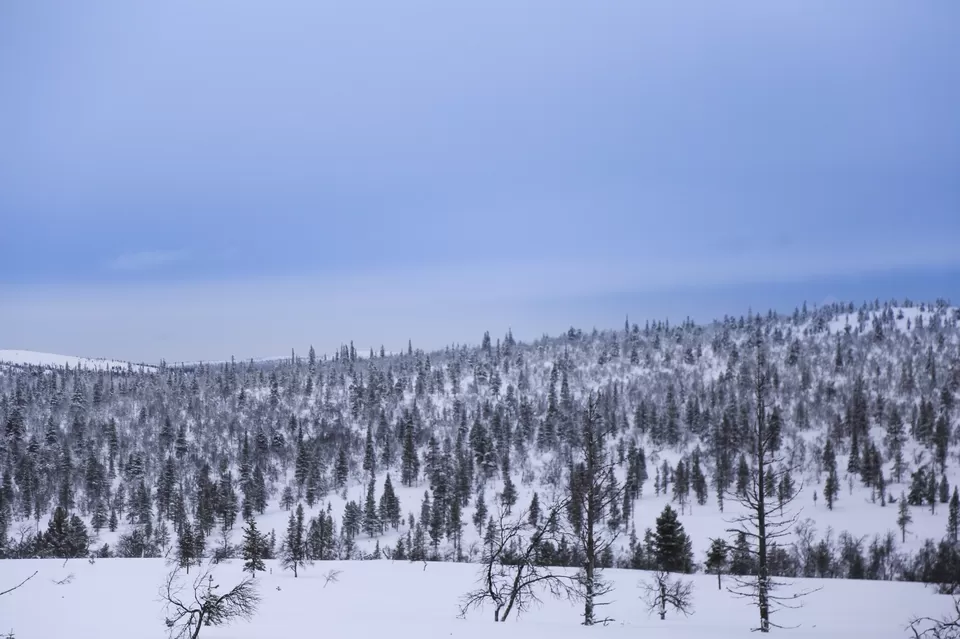 Photo of Saariselkä, Finland by Deepa Subramanian