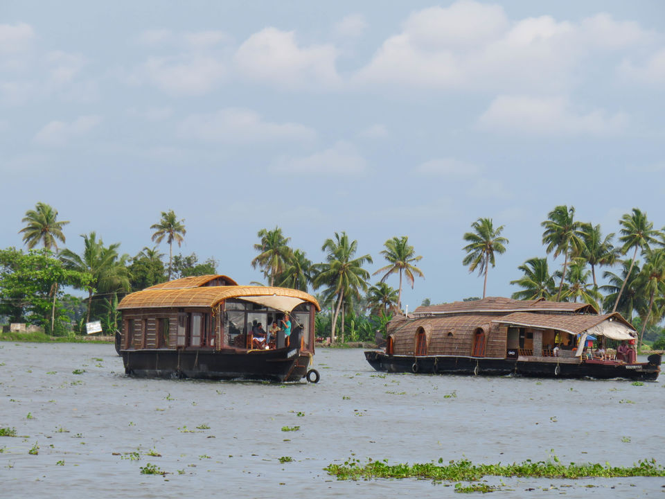 Photo of Kerala, India by Deepa Subramanian