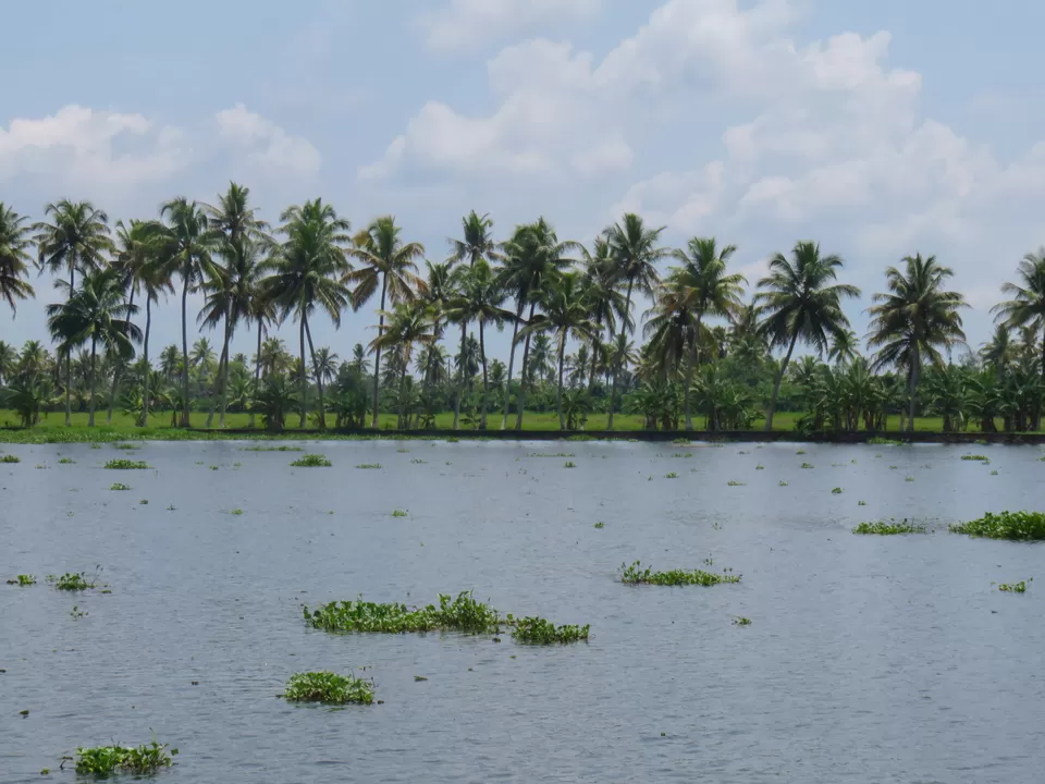Photo of Kerala, India by Deepa Subramanian