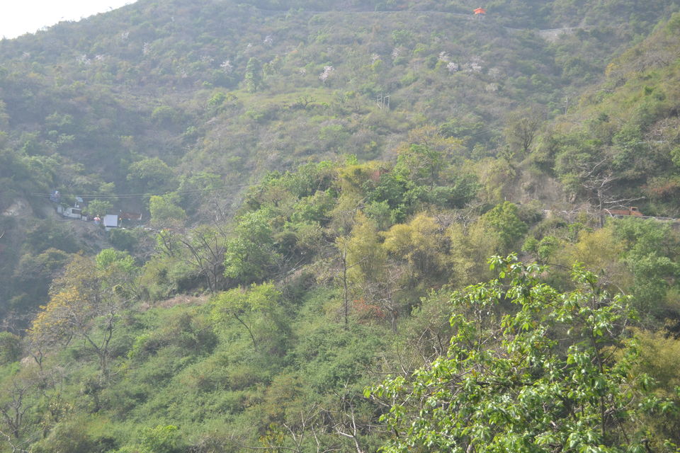 Photo of The daunting but soothing Bike ride from Dehradun to Musoorie 5/19 by The_Budget_Backpacker