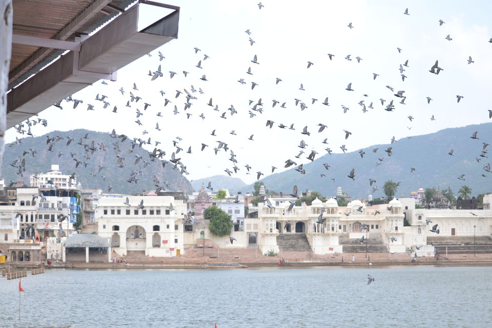 Photo of Pushkar, Rajasthan, India by The_Budget_Backpacker