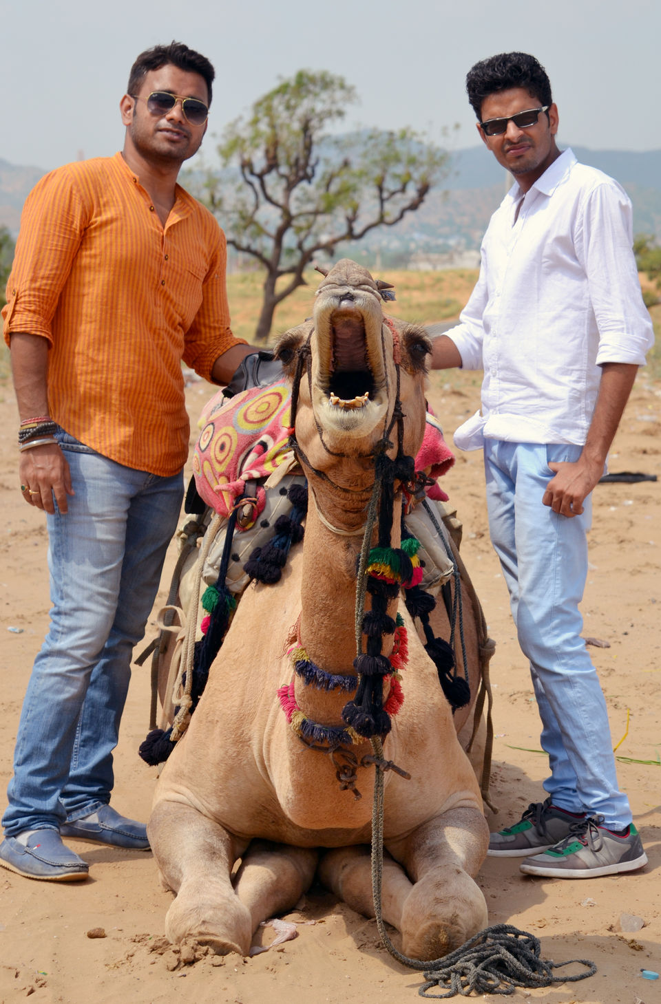 Photo of Pushkar, Rajasthan, India by The_Budget_Backpacker