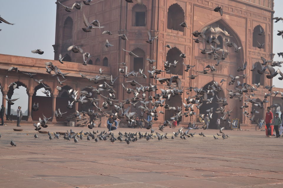 Photo of Jama Masjid, Chandni Chowk, New Delhi, Delhi, India by The_Budget_Backpacker