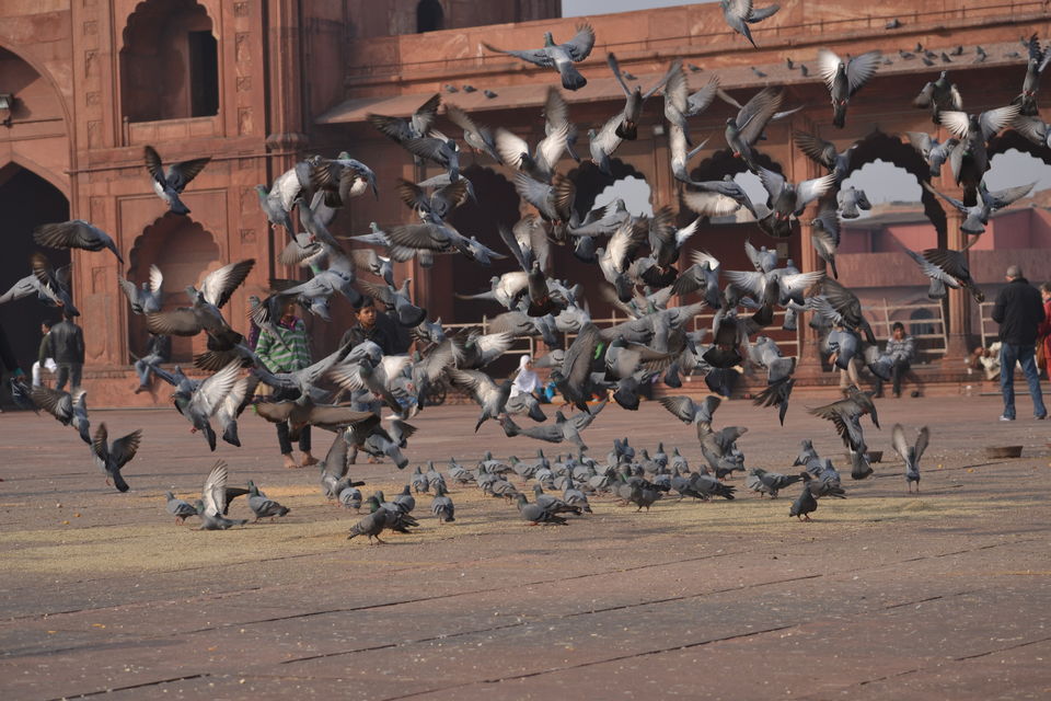 Photo of Jama Masjid, Chandni Chowk, New Delhi, Delhi, India by The_Budget_Backpacker