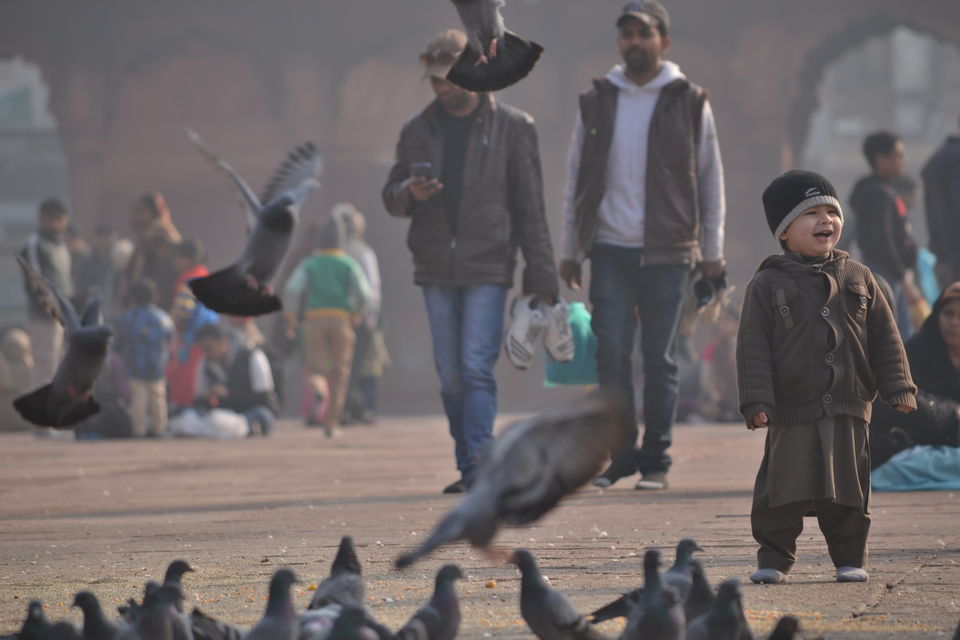 Photo of Jama Masjid, Chandni Chowk, New Delhi, Delhi, India by The_Budget_Backpacker