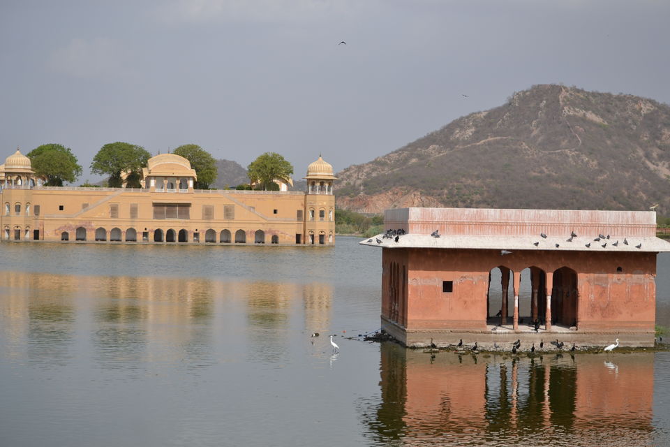 Photo of Jal Mahal, Jaipur, Rajasthan, India by The_Budget_Backpacker