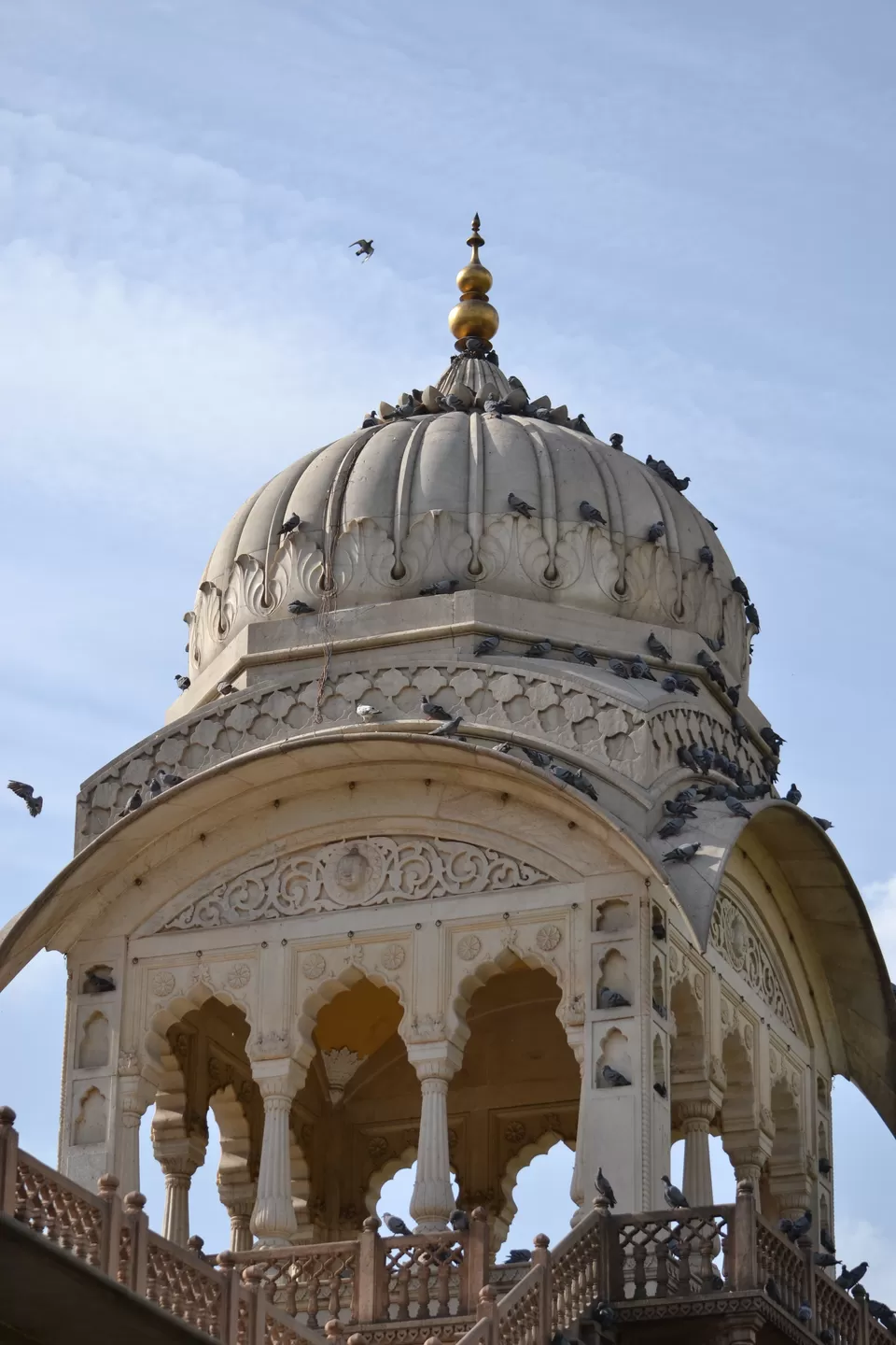 Photo of Albert Hall Museum, Jaipur, Rajasthan, India by The_Budget_Backpacker