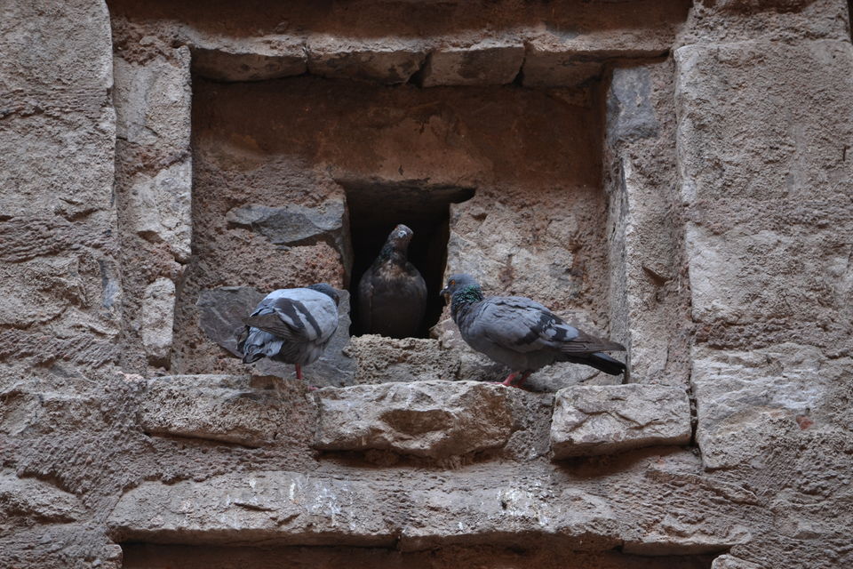 Photo of Ugrasen ki Baoli, New Delhi, Delhi, India by The_Budget_Backpacker