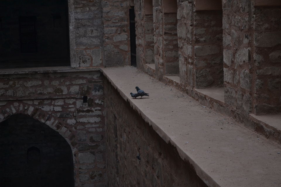 Photo of Ugrasen ki Baoli, New Delhi, Delhi, India by The_Budget_Backpacker