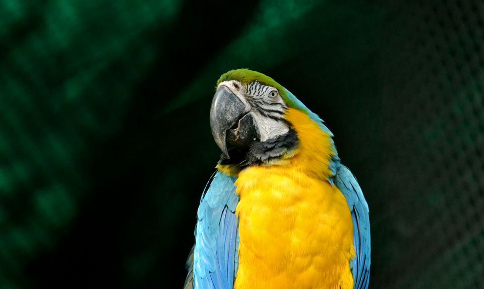 Photo of Zoo, Pragati Maidan, New Delhi, Delhi, India by The_Budget_Backpacker