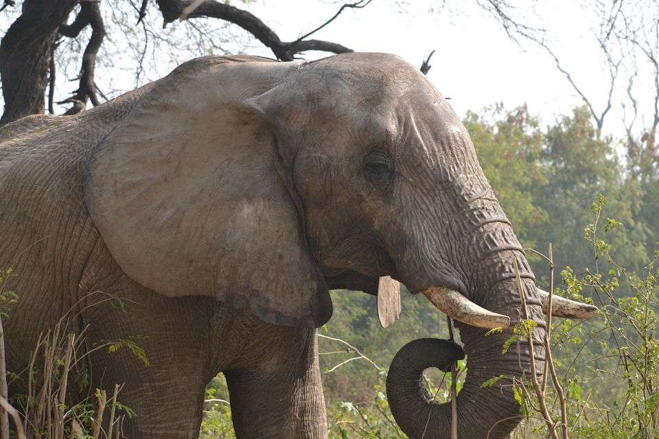 Photo of Zoo, Pragati Maidan, New Delhi, Delhi, India by The_Budget_Backpacker