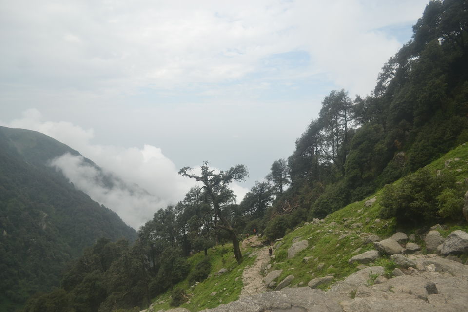 Photo of Triund Trek Trail, Trail to Triund Hill, Dharamshala, Himachal Pradesh, India by The_Budget_Backpacker