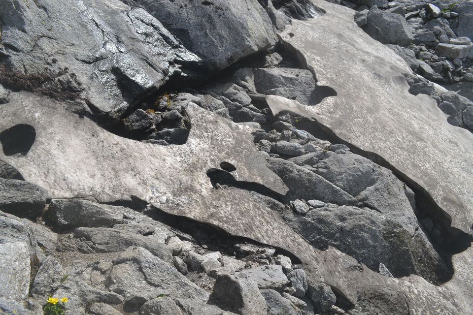 Photo of Indrahar Pass Trail, Dhar Alangari, Himachal Pradesh, India by The_Budget_Backpacker