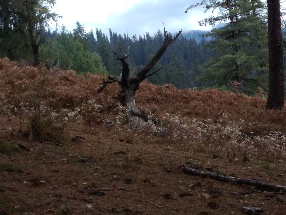 Photo of Strenuous yet Magical – Kedarkantha Trek 5/60 by The_Budget_Backpacker