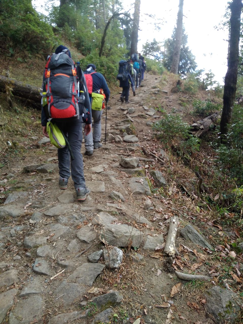 Photo of Strenuous yet Magical – Kedarkantha Trek 3/60 by The_Budget_Backpacker
