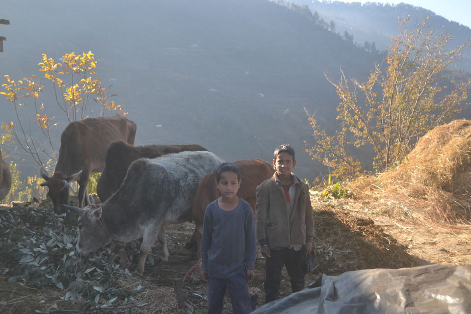 Photo of Strenuous yet Magical – Kedarkantha Trek 16/60 by The_Budget_Backpacker