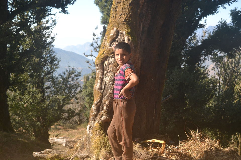 Photo of Strenuous yet Magical – Kedarkantha Trek 21/60 by The_Budget_Backpacker