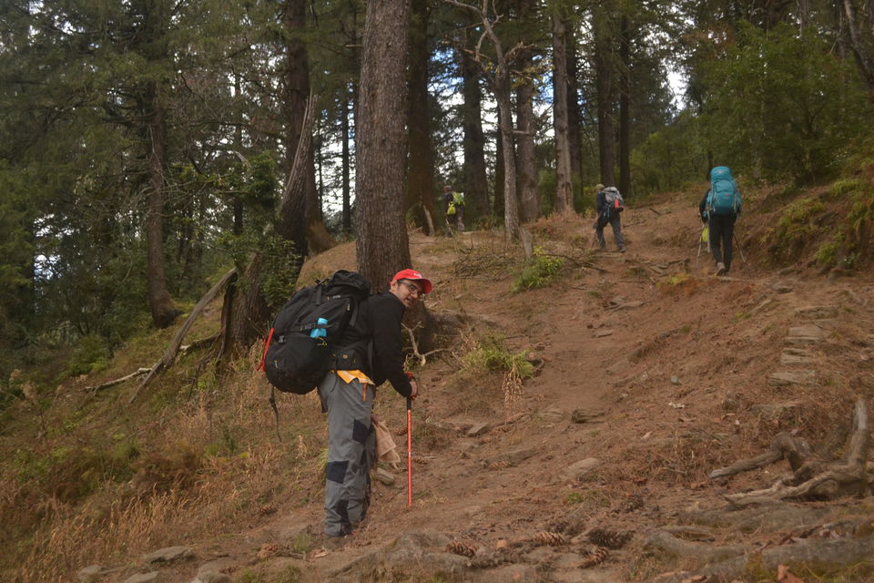Photo of Strenuous yet Magical – Kedarkantha Trek 25/60 by The_Budget_Backpacker