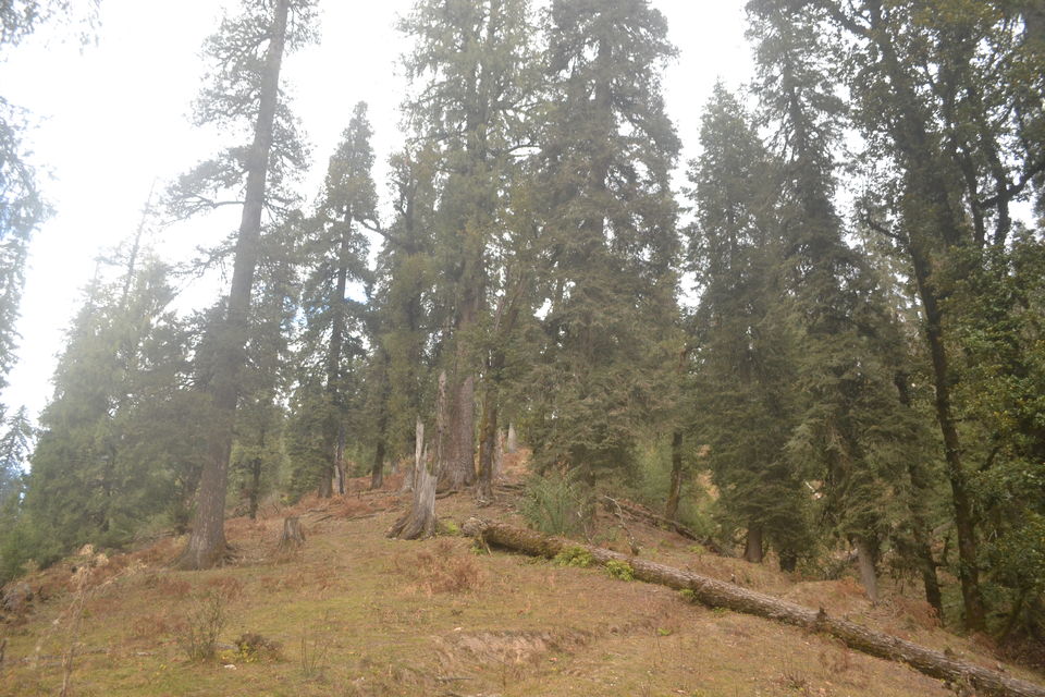 Photo of Strenuous yet Magical – Kedarkantha Trek 28/60 by The_Budget_Backpacker