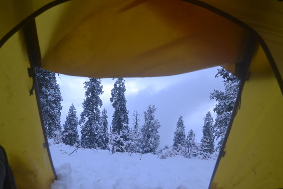 Photo of Strenuous yet Magical – Kedarkantha Trek 38/60 by The_Budget_Backpacker