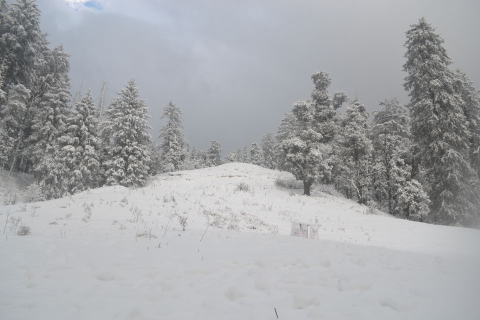 Photo of Strenuous yet Magical – Kedarkantha Trek 40/60 by The_Budget_Backpacker