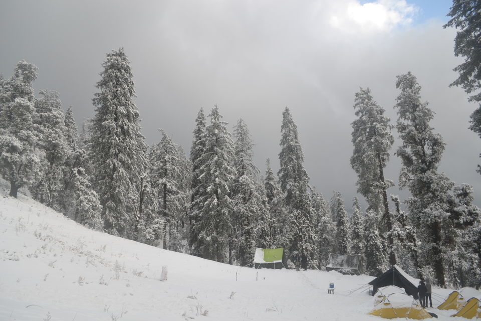 Photo of Strenuous yet Magical – Kedarkantha Trek 41/60 by The_Budget_Backpacker