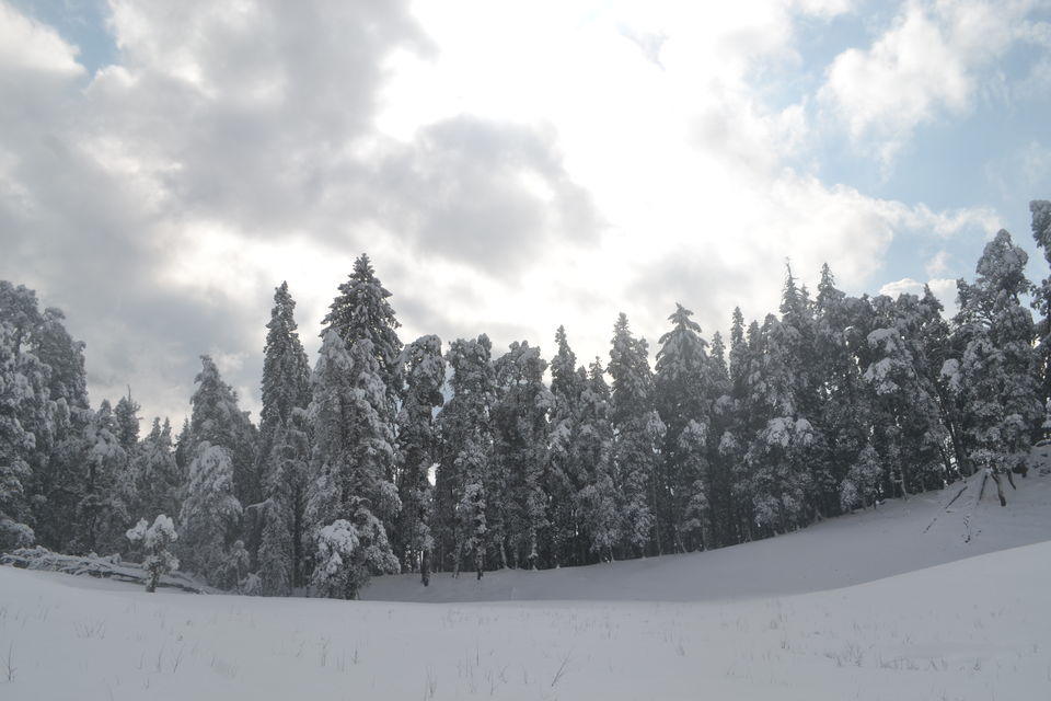 Photo of Strenuous yet Magical – Kedarkantha Trek 46/60 by The_Budget_Backpacker