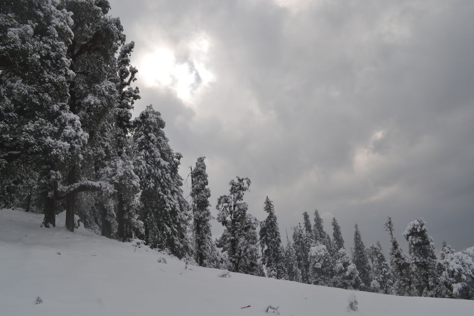 Photo of Strenuous yet Magical – Kedarkantha Trek 51/60 by The_Budget_Backpacker
