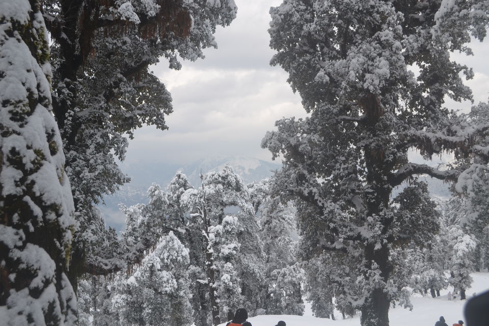 Photo of Strenuous yet Magical – Kedarkantha Trek 48/60 by The_Budget_Backpacker