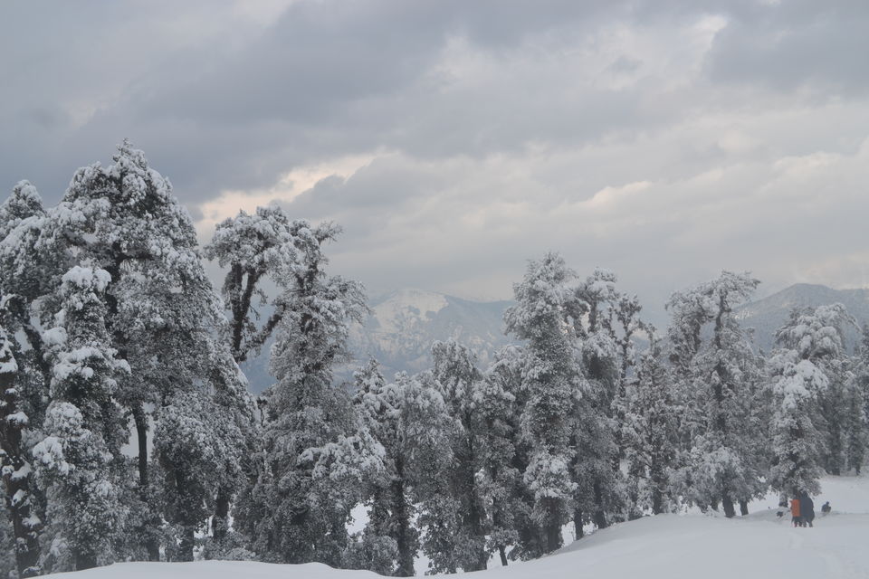 Photo of Strenuous yet Magical – Kedarkantha Trek 49/60 by The_Budget_Backpacker