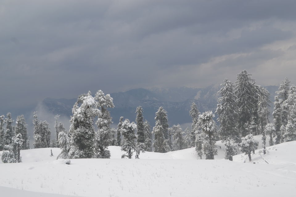 Photo of Strenuous yet Magical – Kedarkantha Trek by The_Budget_Backpacker