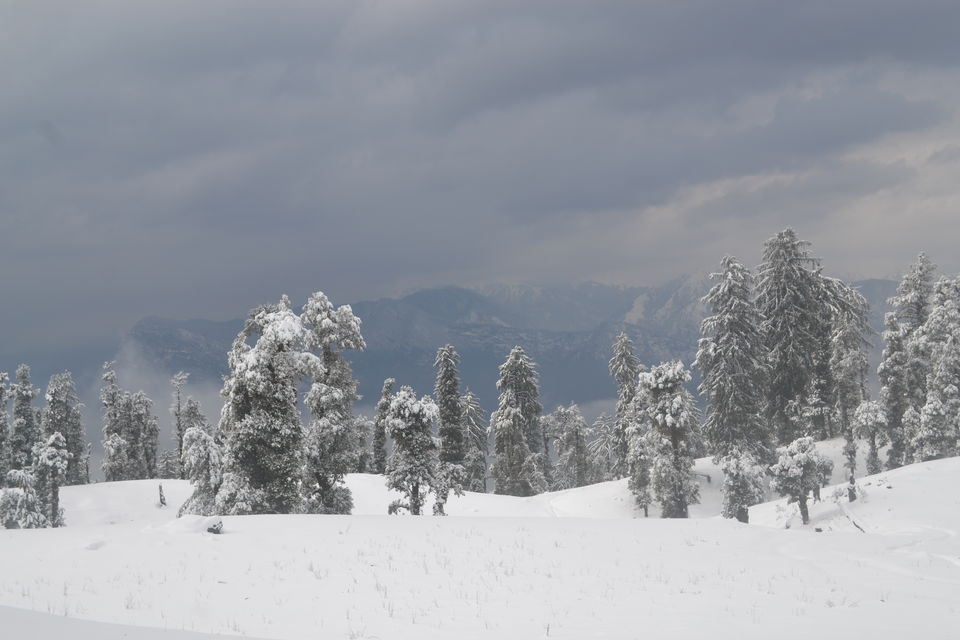 Photo of Strenuous yet Magical – Kedarkantha Trek 53/60 by The_Budget_Backpacker