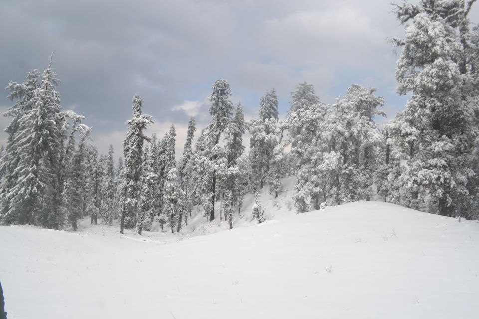 Photo of Strenuous yet Magical – Kedarkantha Trek 56/60 by The_Budget_Backpacker