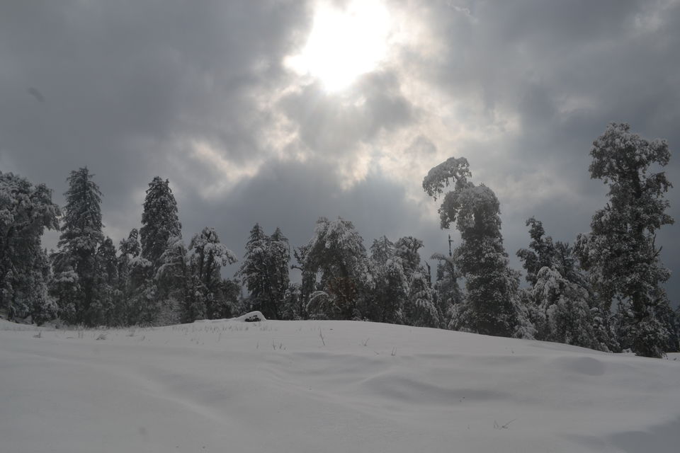 Photo of Strenuous yet Magical – Kedarkantha Trek 57/60 by The_Budget_Backpacker