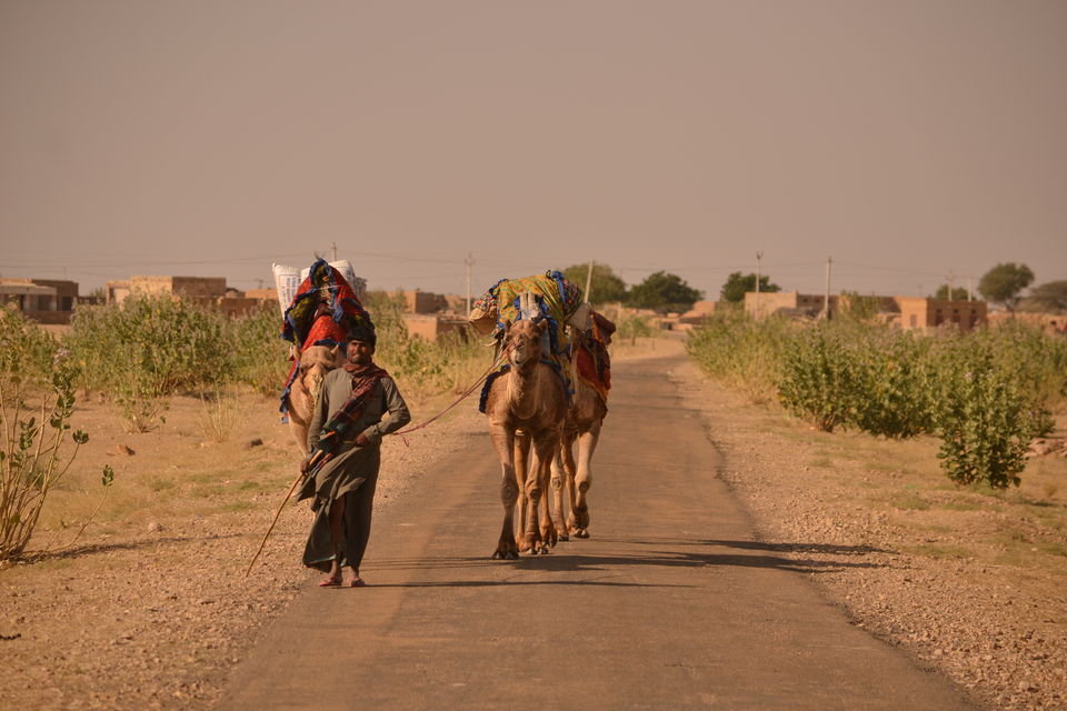 Photo of Lakhmana, Rajasthan, India by The_Budget_Backpacker