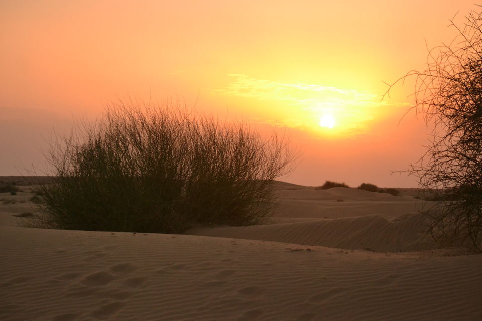 Photo of Thar Desert, Rajasthan by The_Budget_Backpacker