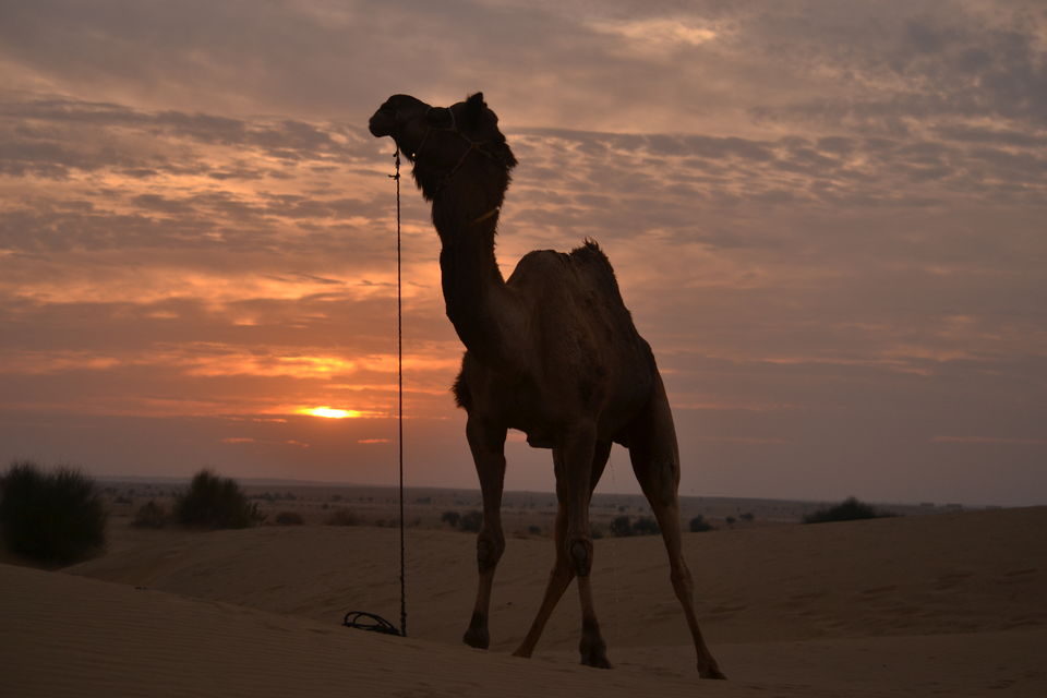 Photo of Exploring Jaisalmer with Desert Safari under 6500 INR- Part I by The_Budget_Backpacker