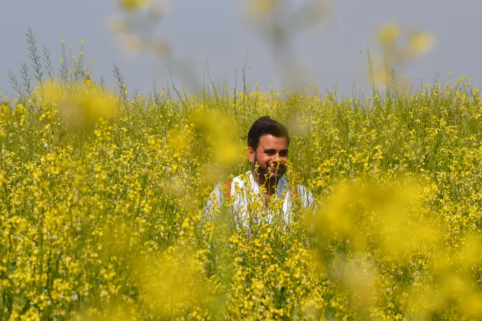 Photo of Chambal, Uttar Pradesh by The_Budget_Backpacker