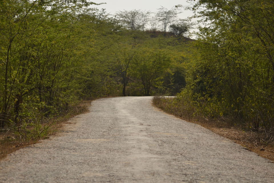 Photo of Exploring the debarred lands of Chambal under 2200 INR by The_Budget_Backpacker