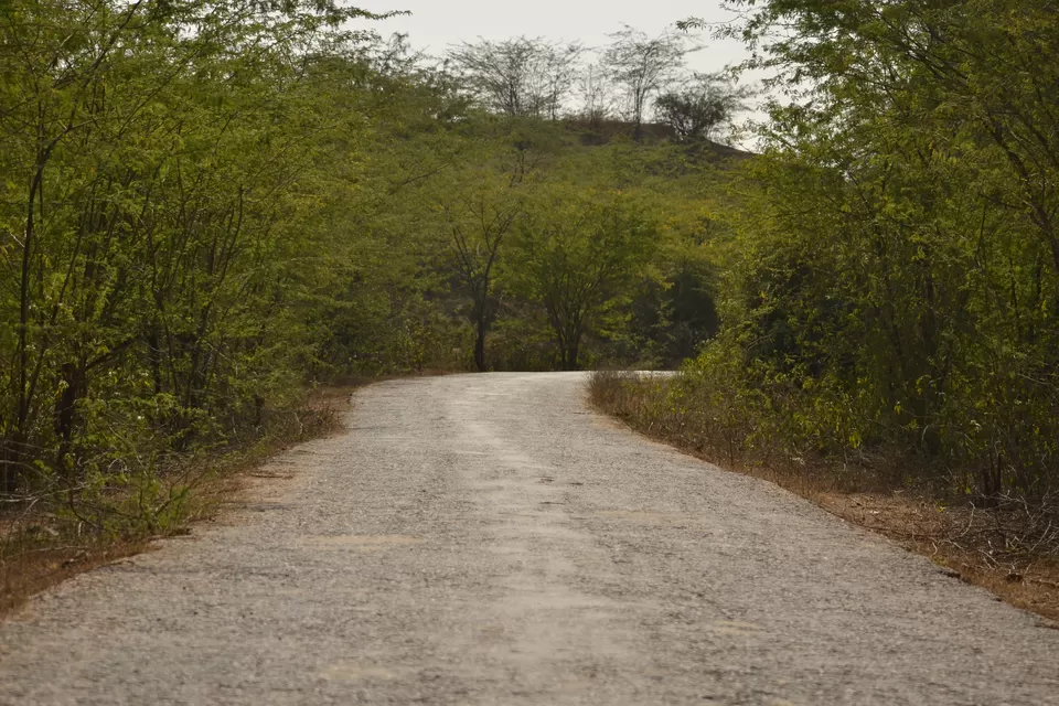 Photo of Chambal, Uttar Pradesh by The_Budget_Backpacker