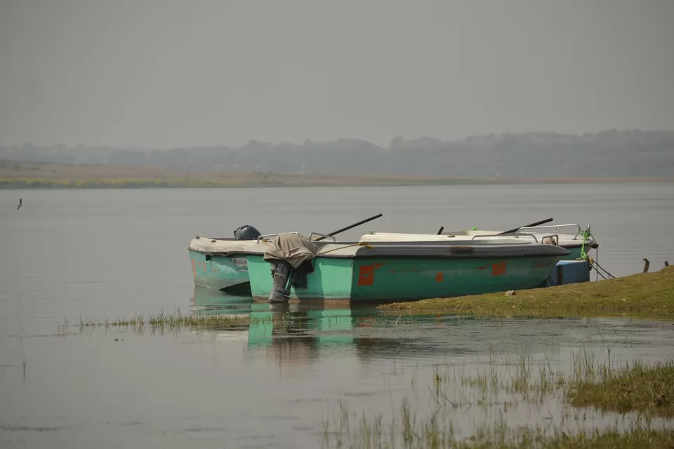 Photo of Chambal River by The_Budget_Backpacker