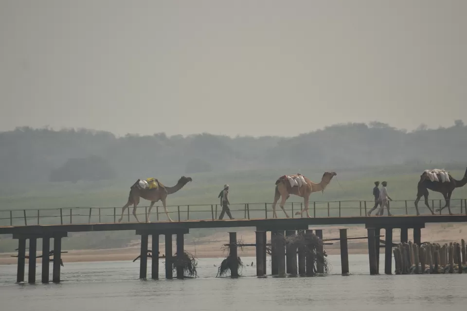 Photo of Chambal River by The_Budget_Backpacker