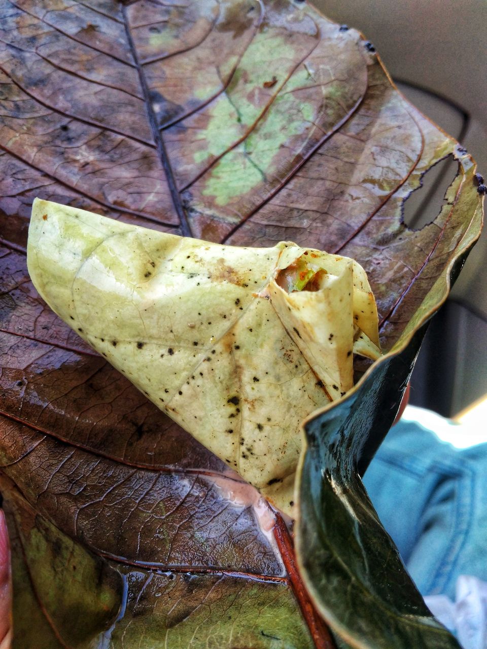 Photo of 6 Street foods you should not miss in Varanasi by The_Budget_Backpacker