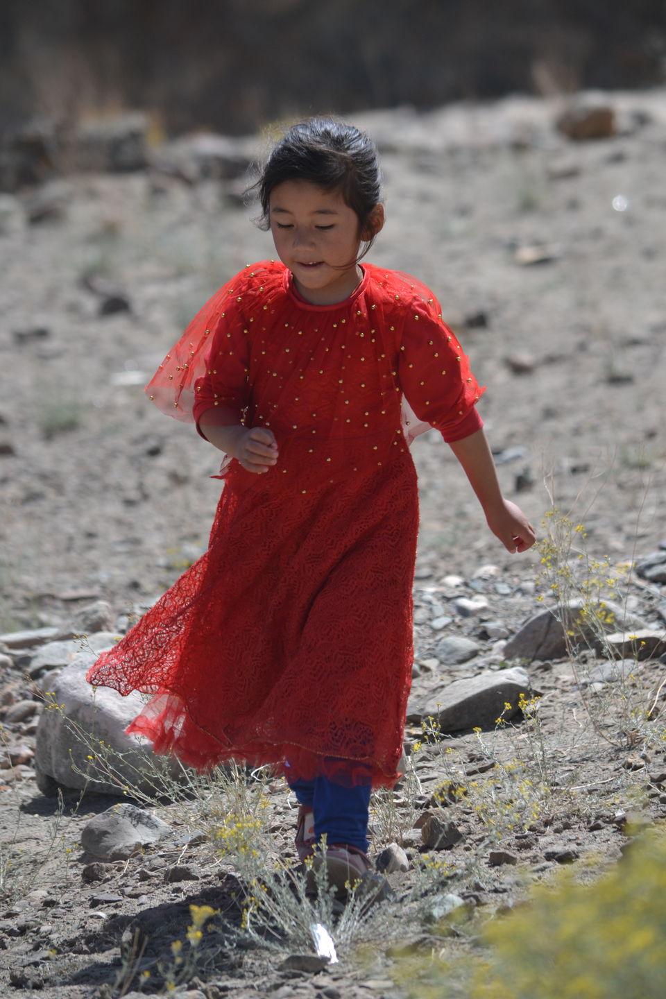 Photo of The Intriguing Story of a 72-Year Old Lady That Will Make You Fall in Love with Hemis 5/6 by The_Budget_Backpacker