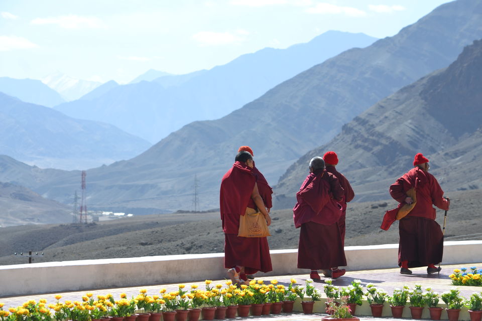 Photo of The Intriguing Story of a 72-Year Old Lady That Will Make You Fall in Love with Hemis by The_Budget_Backpacker