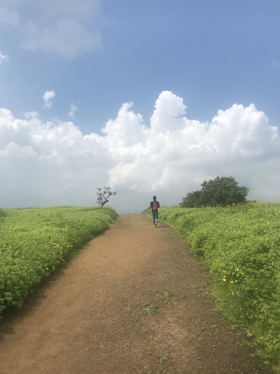 Photo of Lohagad Fort, Lohagad Trek Road, Maharashtra, India by The_Budget_Backpacker